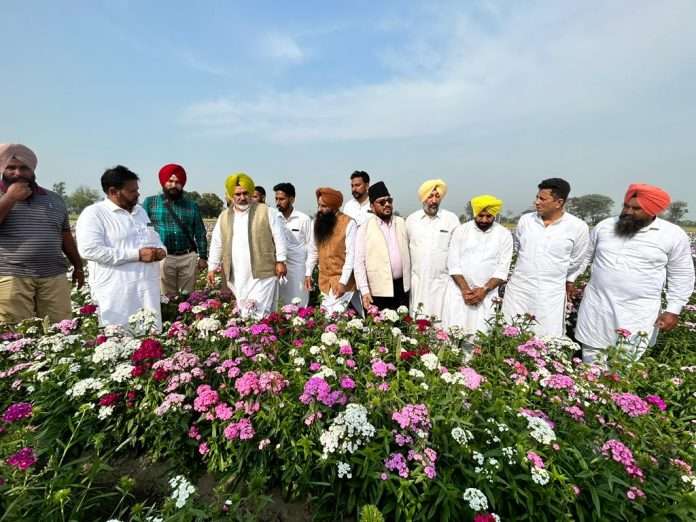 STATE GOVERNMENT ENCOURAGING HORTICULTURE