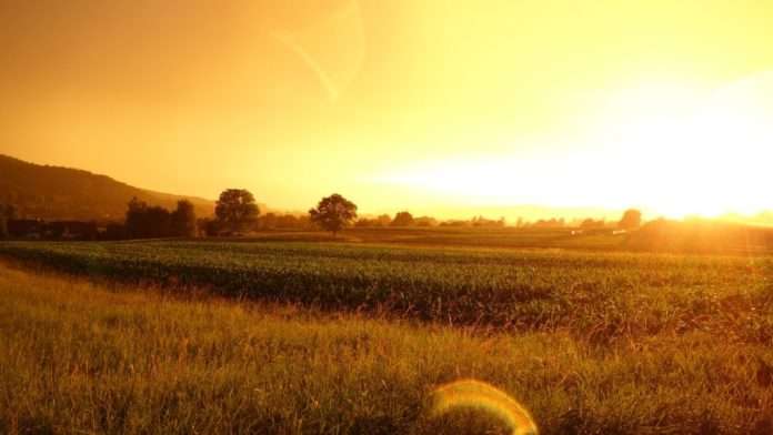 Chance of rain in the month of May