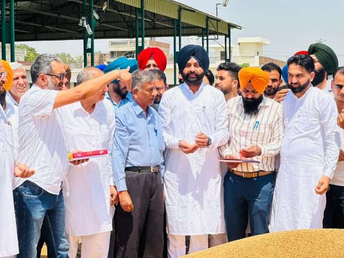 Purchase of wheat started in the markets