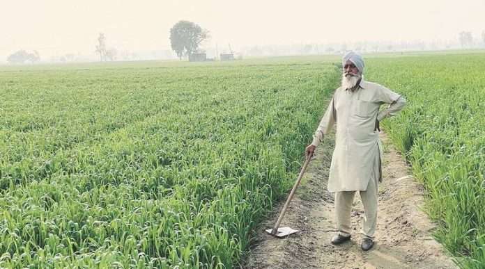 Payment in farmers' accounts