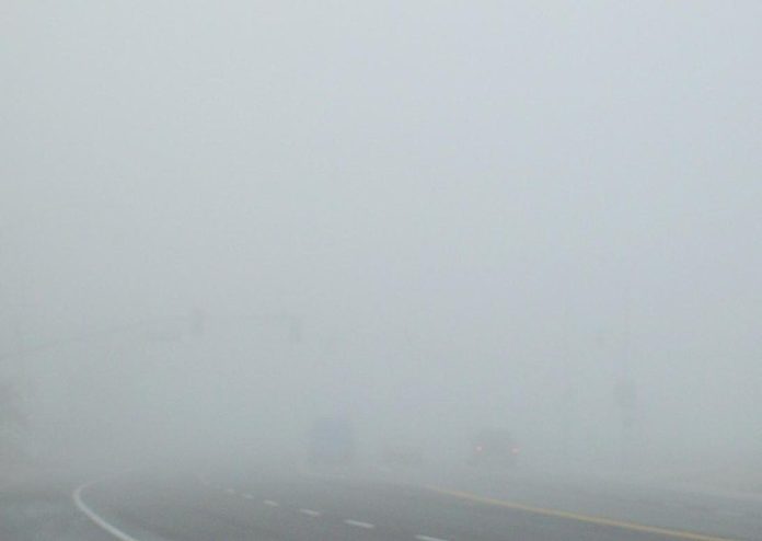 Dense Fog Alert Punjab