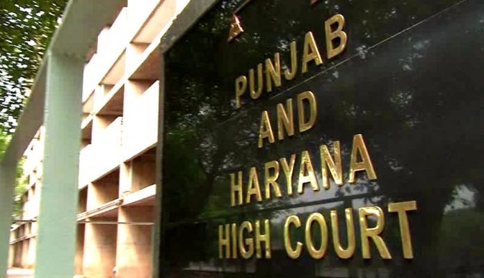 Punjab Haryana High Court 