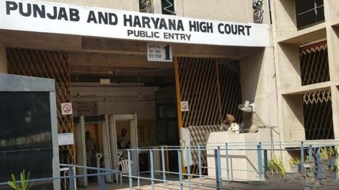 Punjab Haryana High Court