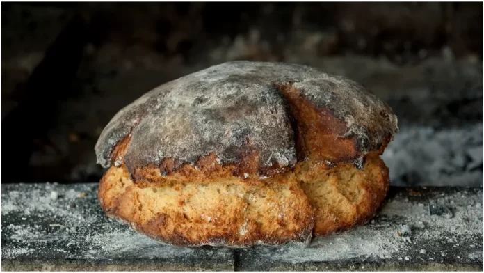 World's Oldest Bread