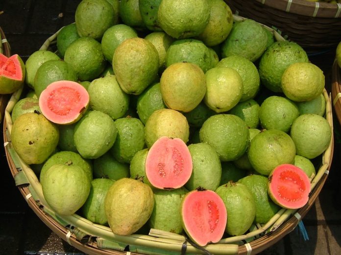 Guava Tea Benefits