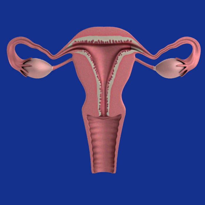 Symptoms Of Uterine Prolapse