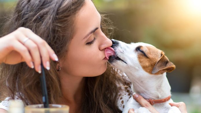 Dog Licking Face