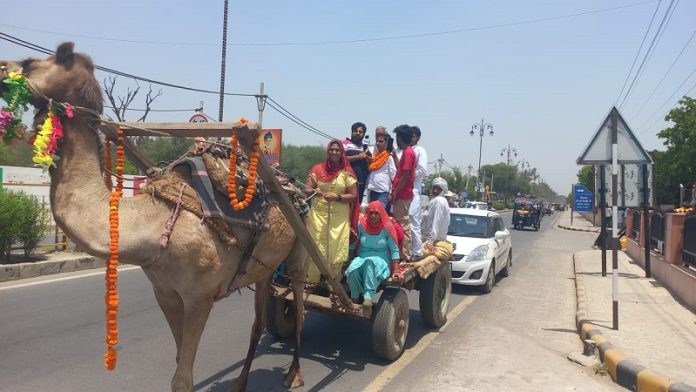 Hisar Lok Sabha Election