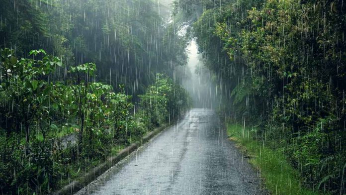 Monsoon has entered Punjab
