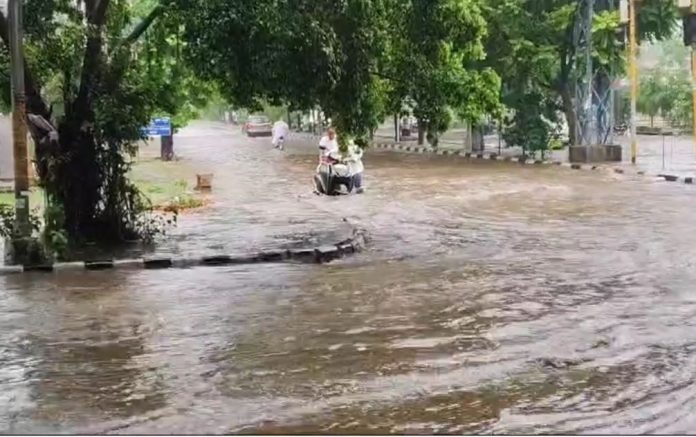 Heavy rain in Punjab, Haryana and Chandigarh